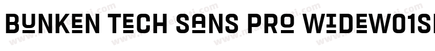 Bunken Tech Sans Pro WideW01SB字体转换